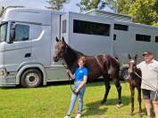 Fantastique yearling de Zangersheide