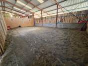 Stabulation libre pour chevaux 