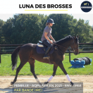LUNA DES BROSSES - AQPS - 4 ANS 