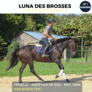 LUNA DES BROSSES - AQPS - 4 ANS 