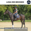 LUNA DES BROSSES - AQPS - 4 ANS 