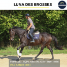 LUNA DES BROSSES - AQPS - 4 ANS 