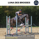 LUNA DES BROSSES - AQPS - 4 ANS 