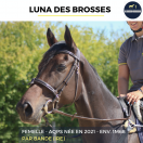 LUNA DES BROSSES - AQPS - 4 ANS 