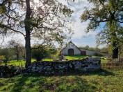 Propriété quercynoise avec sa grange sur 5 ha