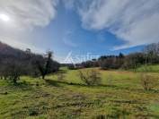 Other agricultural property  Lot