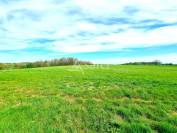 Poultry farm  Tarn-et-Taronne