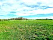 Poultry farm  Tarn-et-Taronne