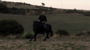 Mare Mérens For sale 2016 Black