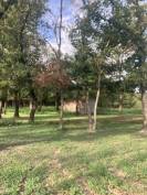 Pension cornebarrieu 