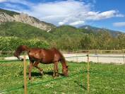 Domaine agricole et &eacute;questre de 6,5 ha aux portes de la C&ocirc;te d