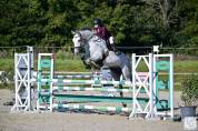 demi pension cheval de sport 