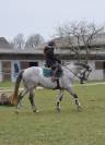 demi pension cheval de sport 