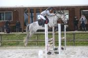 demi pension cheval de sport 