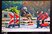 Jument 6 ans Taloubet × clinton 