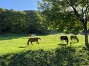 Pension retraite 