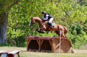 Caballo castrado Silla Francés En venta 2015 Alazán por KLOTAIRE DU MOULIN