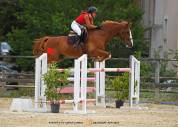 TOP HONGRE SF DE 10 ANS POURCCE 2*, AMA ELITE