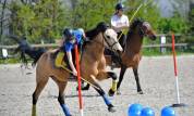 Poney D maître d’école 