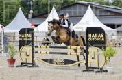 Poney D maître d’école 