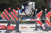 A VENDRE PONEY CSO