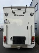 Van per Cavalli Barbot D5 2020 Occasione