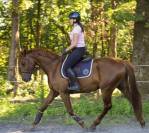 6 ans tres gros moyens 