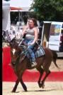Cheval Quarter Horse (sans papiers), alezan, âgé de 13 ans