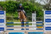 Poni B de salto 