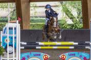 Poni B de salto 