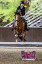 Poni B de salto 
