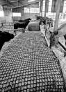 PENSION COLLECTIVE - MANEGE - STABULATION
