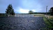 PENSION COLLECTIVE - MANEGE - STABULATION