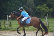 Poney 3 ans