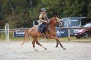 Jument 9 ans CSO 
