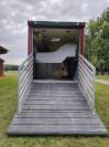 Camion per Cavalli Man  1992 Occasione