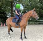 Recherche cavalier/ère