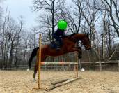 Recherche cavalier/ère