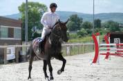 CAVALIER JEUNES CHEVAUX