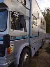 Camion per Cavalli Renault RENAULT G290 1988 Occasione