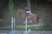 Cheval de 13 ans ayant classé 1m45