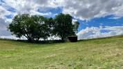 Pension au pré à Maule 78580
