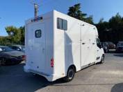 Van per Cavalli Opel Movano 2021 Nuovo