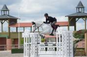 CHEVAL DE CSO 12 ANS