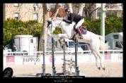 CHEVAL DE CSO 12 ANS