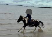 SUPER PONETTE A LOUER