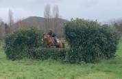 Super pony sportivo 147cm 7 anni