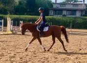Super pony sportivo 147cm 7 anni