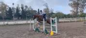 Super pony sportivo 147cm 7 anni