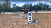 Super pony sportivo 147cm 7 anni